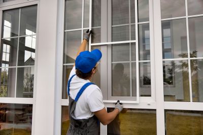 Optimal Repair Windows